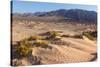 USA, Death Valley National Park-Catharina Lux-Stretched Canvas