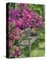 USA, Delaware. A dedication bench surrounded by azaleas in a garden.-Julie Eggers-Stretched Canvas