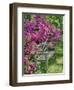 USA, Delaware. A dedication bench surrounded by azaleas in a garden.-Julie Eggers-Framed Photographic Print