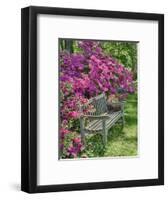 USA, Delaware. A dedication bench surrounded by azaleas in a garden.-Julie Eggers-Framed Photographic Print