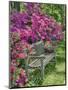 USA, Delaware. A dedication bench surrounded by azaleas in a garden.-Julie Eggers-Mounted Photographic Print