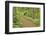 USA, Delaware, Hockessin. Path through the forest-Hollice Looney-Framed Photographic Print