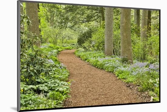 USA, Delaware, Hockessin. Path through the forest-Hollice Looney-Mounted Photographic Print