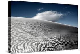 Usa Desert Scenery-Jody Miller-Stretched Canvas