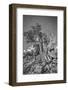 USA, Eastern Sierra, White Mountains, bristlecone pines-John Ford-Framed Photographic Print