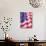 USA Flag-Kevin Kuenster-Photographic Print displayed on a wall