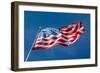 USA Flag-FiledIMAGE-Framed Photographic Print