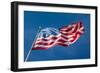 USA Flag-FiledIMAGE-Framed Photographic Print