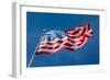 USA Flag-FiledIMAGE-Framed Photographic Print