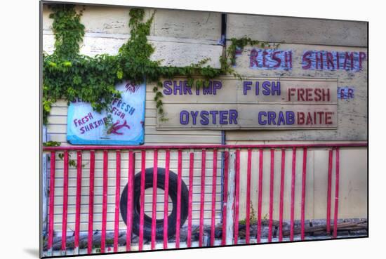 USA, Florida, Apalachicola, Old Oyster House on Apalachicola Bay-Joanne Wells-Mounted Photographic Print