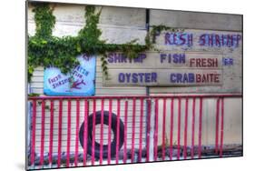 USA, Florida, Apalachicola, Old Oyster House on Apalachicola Bay-Joanne Wells-Mounted Photographic Print