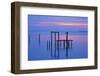 USA, Florida. Apalachicola, Remains of an old dock at sunrise.-Joanne Wells-Framed Photographic Print