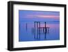 USA, Florida. Apalachicola, Remains of an old dock at sunrise.-Joanne Wells-Framed Photographic Print