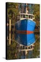 USA, Florida, Apalachicola, Shrimp Boat Docked at Apalachicola-Joanne Wells-Stretched Canvas