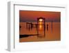 USA, Florida, Apalachicola, Sunrise at an old boat house at Apalachicola Bay.-Joanne Wells-Framed Premium Photographic Print