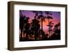 USA, Florida, Big Cypress National Preserve Adams camp sunset.-Connie Bransilver-Framed Photographic Print
