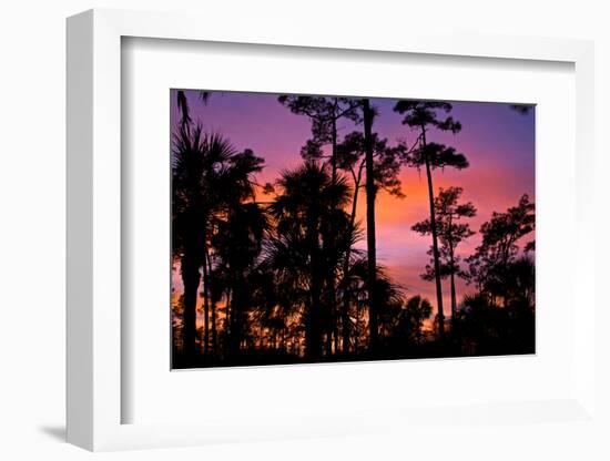 USA, Florida, Big Cypress National Preserve Adams camp sunset.-Connie Bransilver-Framed Photographic Print