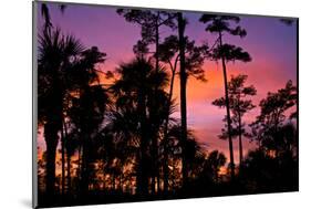 USA, Florida, Big Cypress National Preserve Adams camp sunset.-Connie Bransilver-Mounted Photographic Print