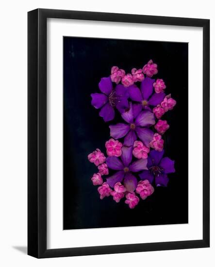 USA, Florida, Celebration. A bouquet of flowers-Hollice Looney-Framed Photographic Print