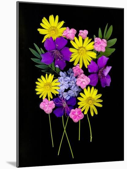 USA, Florida, Celebration. A bouquet of flowers-Hollice Looney-Mounted Photographic Print