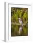 USA, Florida, Celebration. A grey heron enjoying the morning sun-Hollice Looney-Framed Photographic Print