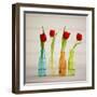 USA, Florida, Celebration, Tulips-Hollice Looney-Framed Premium Photographic Print