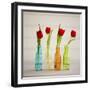 USA, Florida, Celebration, Tulips-Hollice Looney-Framed Premium Photographic Print