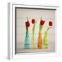 USA, Florida, Celebration, Tulips-Hollice Looney-Framed Premium Photographic Print