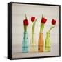 USA, Florida, Celebration, Tulips-Hollice Looney-Framed Stretched Canvas