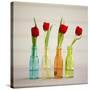 USA, Florida, Celebration, Tulips-Hollice Looney-Stretched Canvas