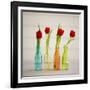 USA, Florida, Celebration, Tulips-Hollice Looney-Framed Photographic Print