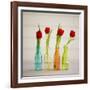 USA, Florida, Celebration, Tulips-Hollice Looney-Framed Photographic Print