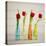 USA, Florida, Celebration, Tulips-Hollice Looney-Stretched Canvas