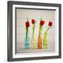 USA, Florida, Celebration, Tulips-Hollice Looney-Framed Photographic Print