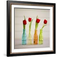 USA, Florida, Celebration, Tulips-Hollice Looney-Framed Photographic Print