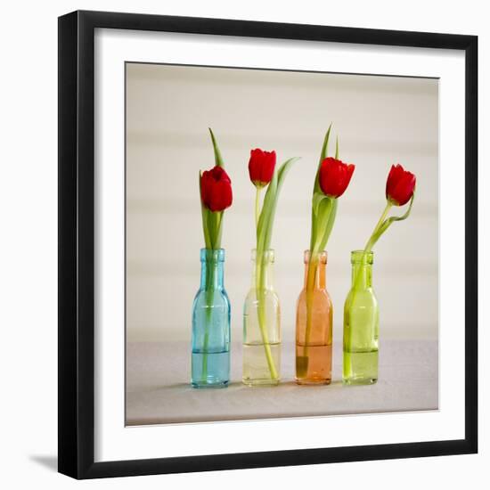 USA, Florida, Celebration, Tulips-Hollice Looney-Framed Photographic Print