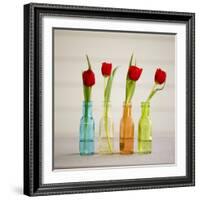 USA, Florida, Celebration, Tulips-Hollice Looney-Framed Photographic Print