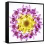 Usa, Florida, Celebration, Wreath of Pink and Yellow Orchids-Hollice Looney-Framed Stretched Canvas