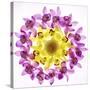 Usa, Florida, Celebration, Wreath of Pink and Yellow Orchids-Hollice Looney-Stretched Canvas