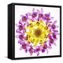 Usa, Florida, Celebration, Wreath of Pink and Yellow Orchids-Hollice Looney-Framed Stretched Canvas