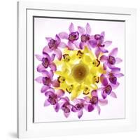 Usa, Florida, Celebration, Wreath of Pink and Yellow Orchids-Hollice Looney-Framed Photographic Print