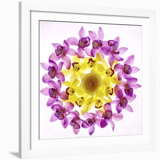 Usa, Florida, Celebration, Wreath of Pink and Yellow Orchids-Hollice Looney-Framed Photographic Print