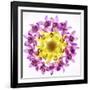 Usa, Florida, Celebration, Wreath of Pink and Yellow Orchids-Hollice Looney-Framed Photographic Print