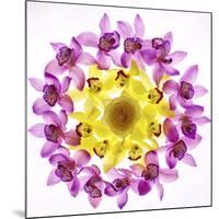 Usa, Florida, Celebration, Wreath of Pink and Yellow Orchids-Hollice Looney-Mounted Photographic Print