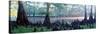 Usa, Florida, Cypress Swamp-null-Stretched Canvas