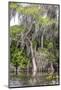 Usa, Florida. Cypress trees around Lochloosa Lake-Hollice Looney-Mounted Photographic Print