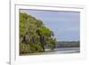 Usa, Florida. Cypress trees around Lochloosa Lake-Hollice Looney-Framed Photographic Print