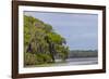 Usa, Florida. Cypress trees around Lochloosa Lake-Hollice Looney-Framed Photographic Print