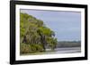 Usa, Florida. Cypress trees around Lochloosa Lake-Hollice Looney-Framed Photographic Print