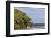 Usa, Florida. Cypress trees around Lochloosa Lake-Hollice Looney-Framed Photographic Print